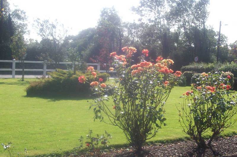 Suncrest Hotel Waterford Bagian luar foto